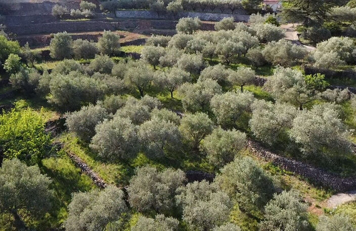 Terrain à batir — photo 2
