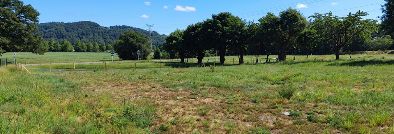 Terrain  654 m² à vendre à Saint-Perreux (56350)