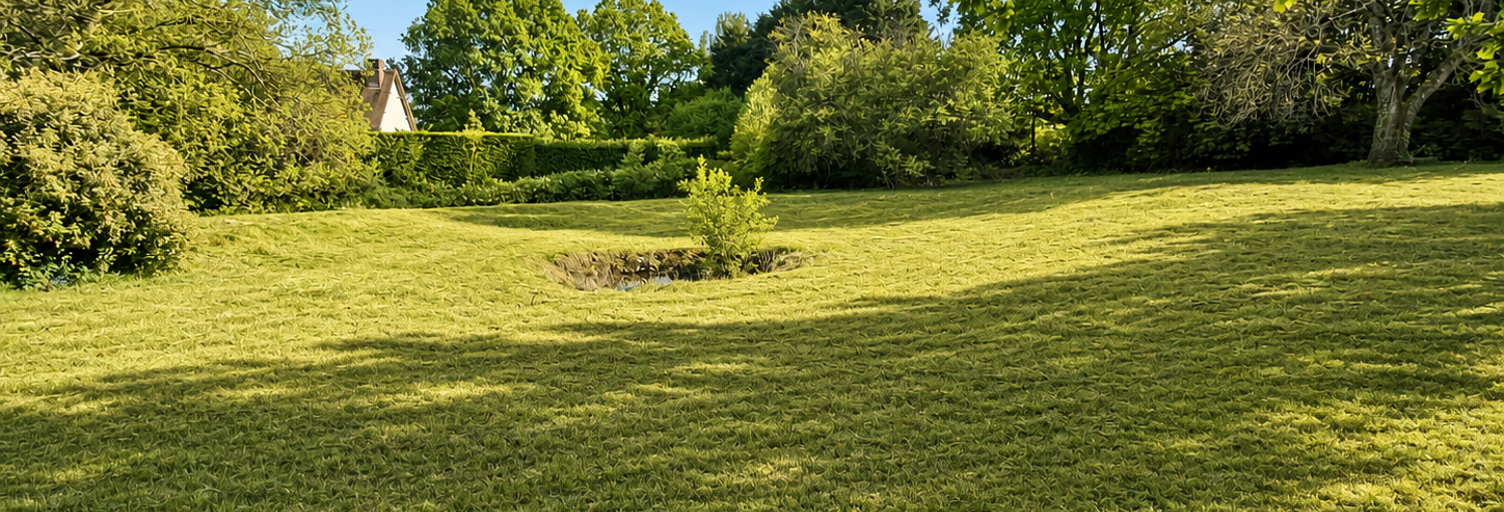 Terrain  3615 m² à vendre à Bihorel (76420)