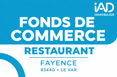 Commerce  110000 €
