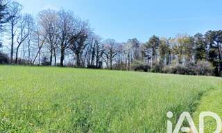 Terrain  880 m² à vendre à Camors (56330)