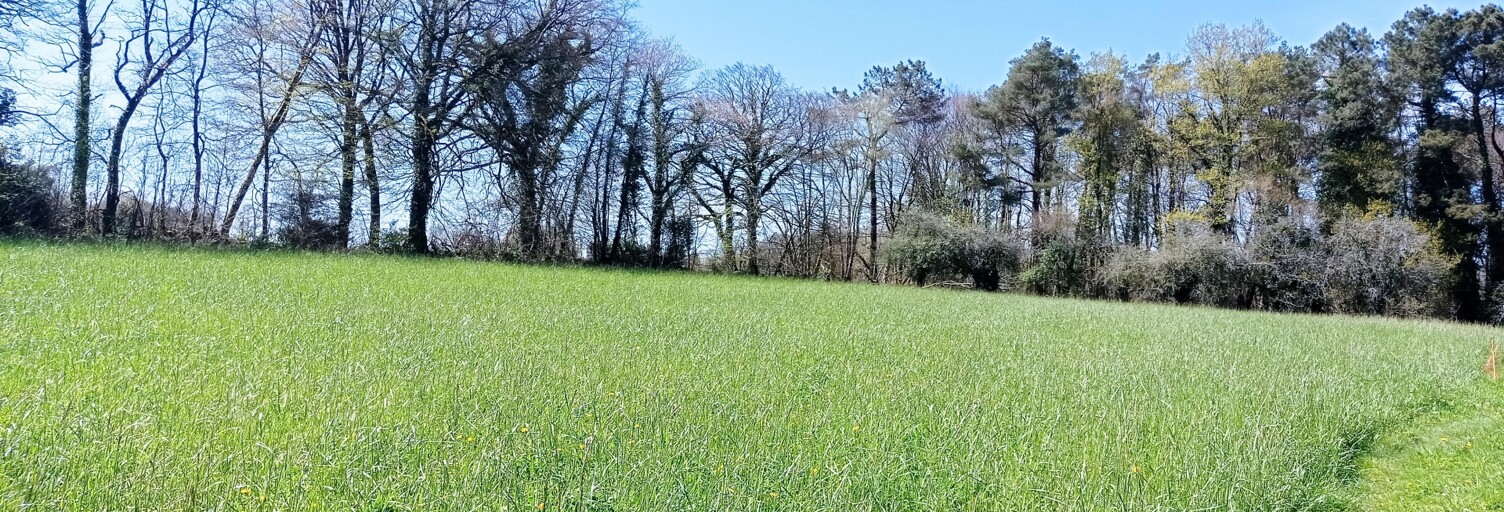 Terrain  880 m² à vendre à Camors (56330)