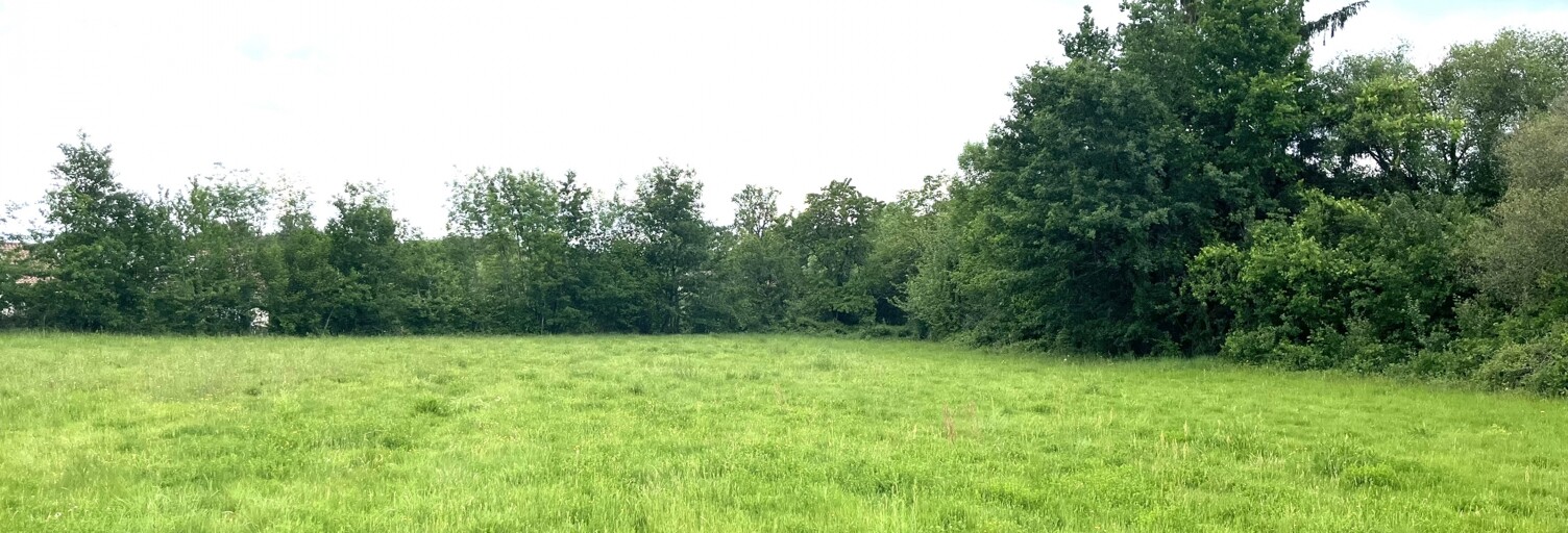 Terrain  7985 m² à vendre à Nouic (87330)