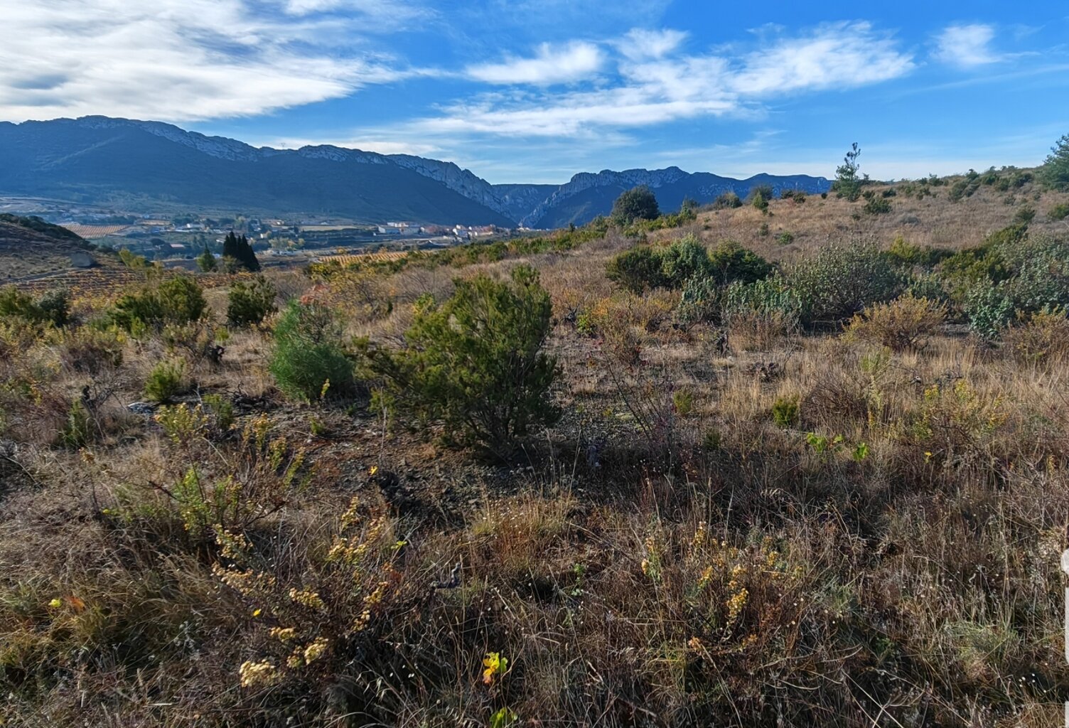 Vente Terrain agricole 2 695 m&sup2; — photo 1