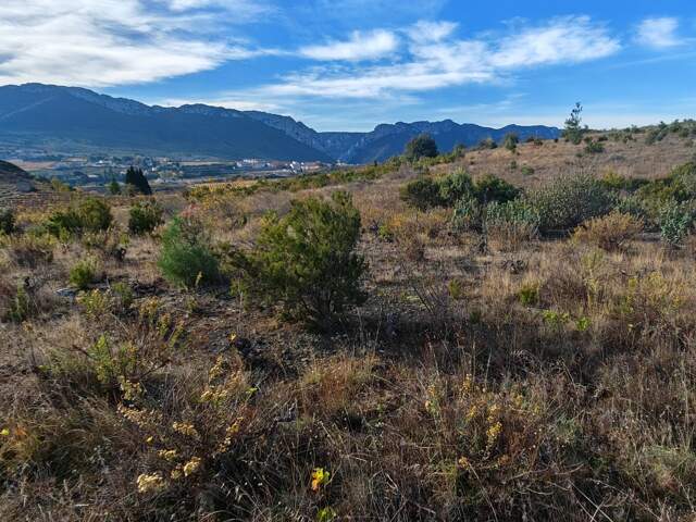 Vente Terrain agricole 2 695 m&sup2; — photo du bien
