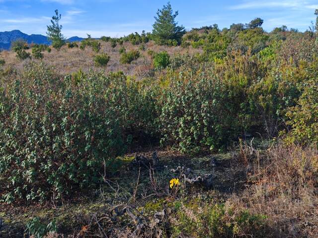 Vente Terrain agricole 3 110 m&sup2; — photo du bien