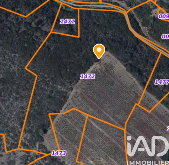 St-Paul-De-Fenouillet - 16000m²