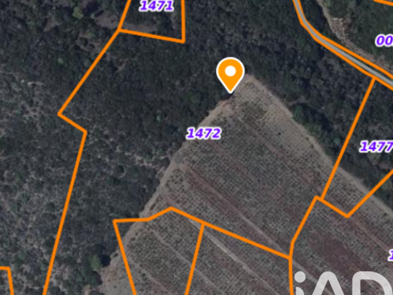Vente Terrain agricole 16 000 m&sup2; — photo 1