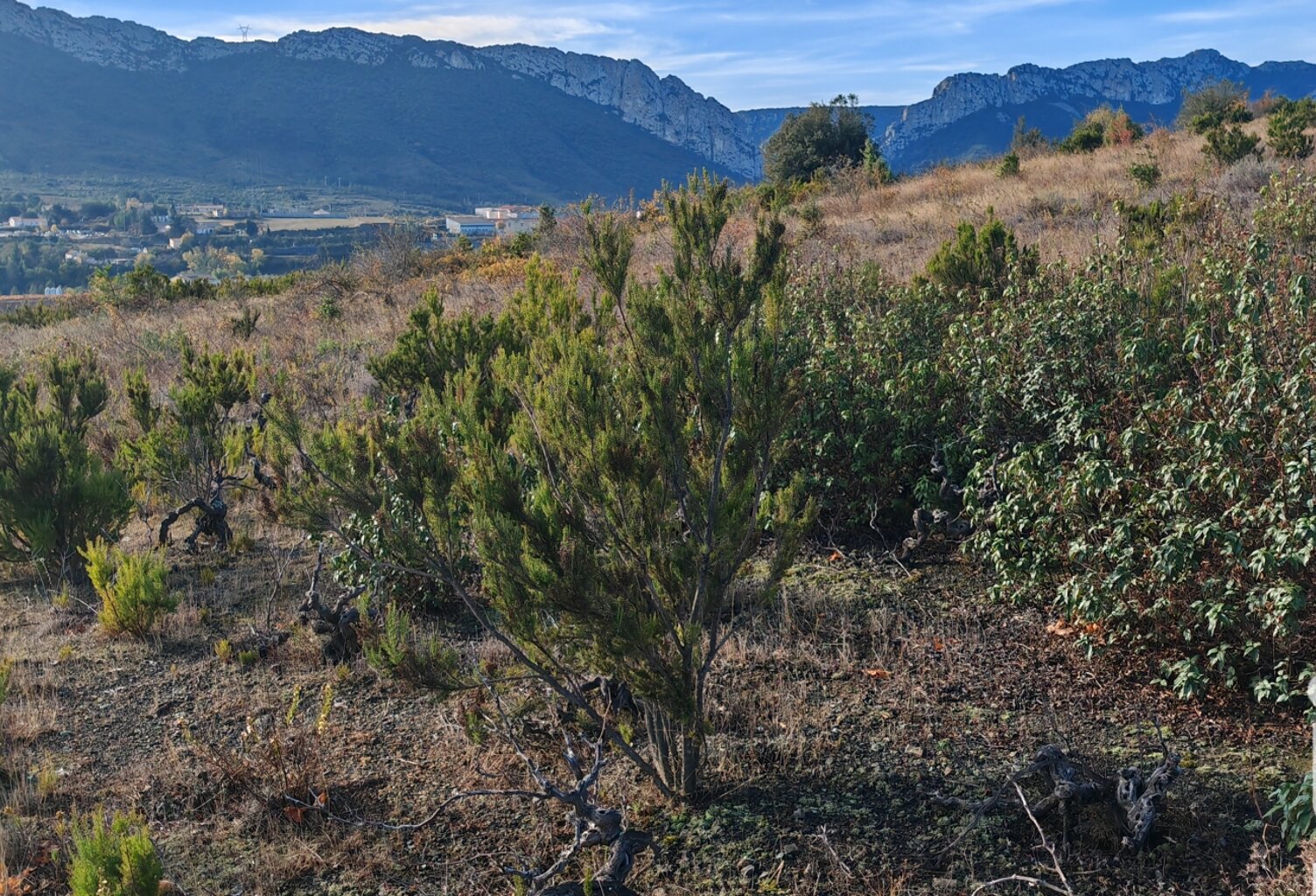Vente Terrain agricole 5 805 m&sup2; — photo 1