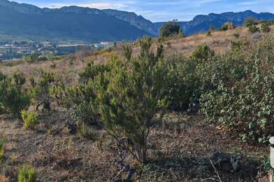 Terrain  10000 €