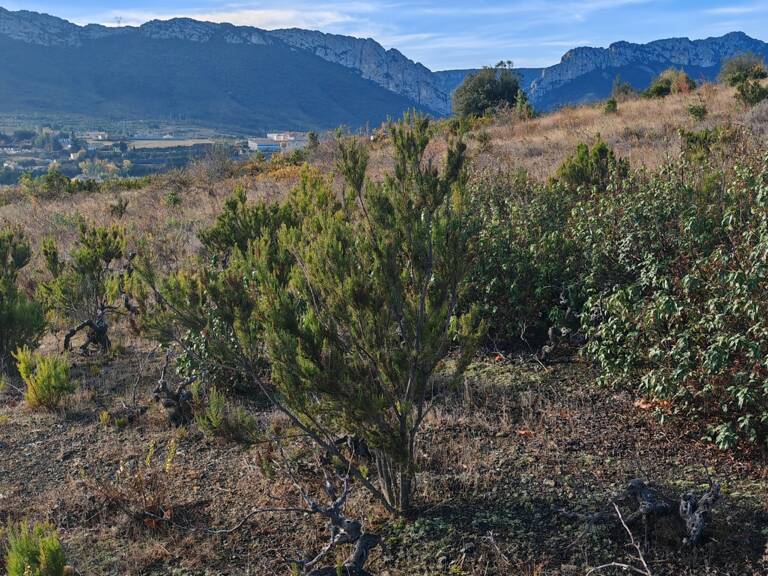 Vente Terrain agricole 5 805 m&sup2; — photo 1