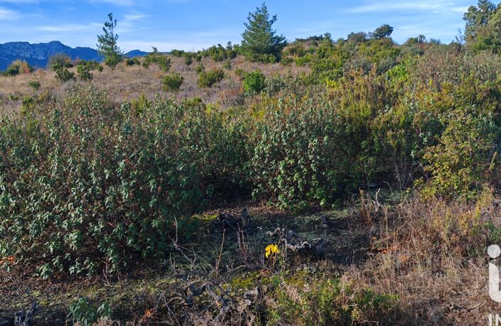 Vente Terrain agricole 5 805 m&sup2; — photo 2