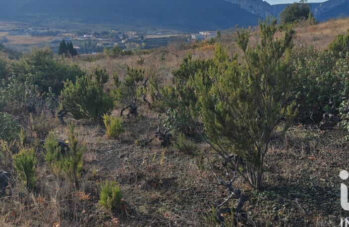 Vente Terrain agricole 5 805 m&sup2; — photo 3
