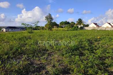 Terrain  105000 €