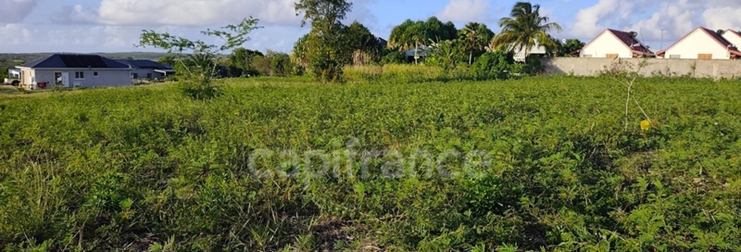 Terrain  500 m² à vendre à Anse-Bertrand (97121)