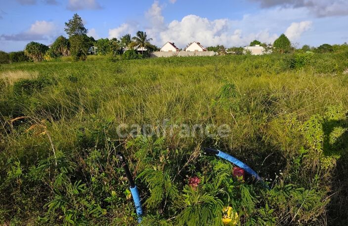 Terrain à vendre   () — photo 3