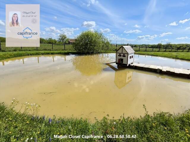 Jolie ferme 144 m2 sur 5 121 m² de terrain proche Louhans — photo du bien