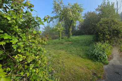 Terrain  99000 €