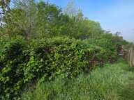 À vendre - Terrain à bâtir viabilisé de 372 m² à Champagne-sur-Oise — photo 2