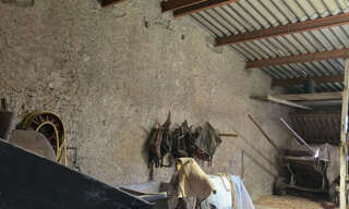 Photo N° 2