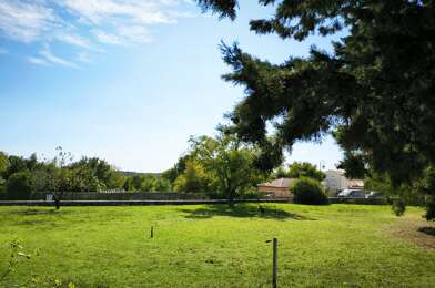 Terrain  150000 €