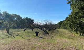 Terrain  1347 m² à vendre à Uzès (30700)