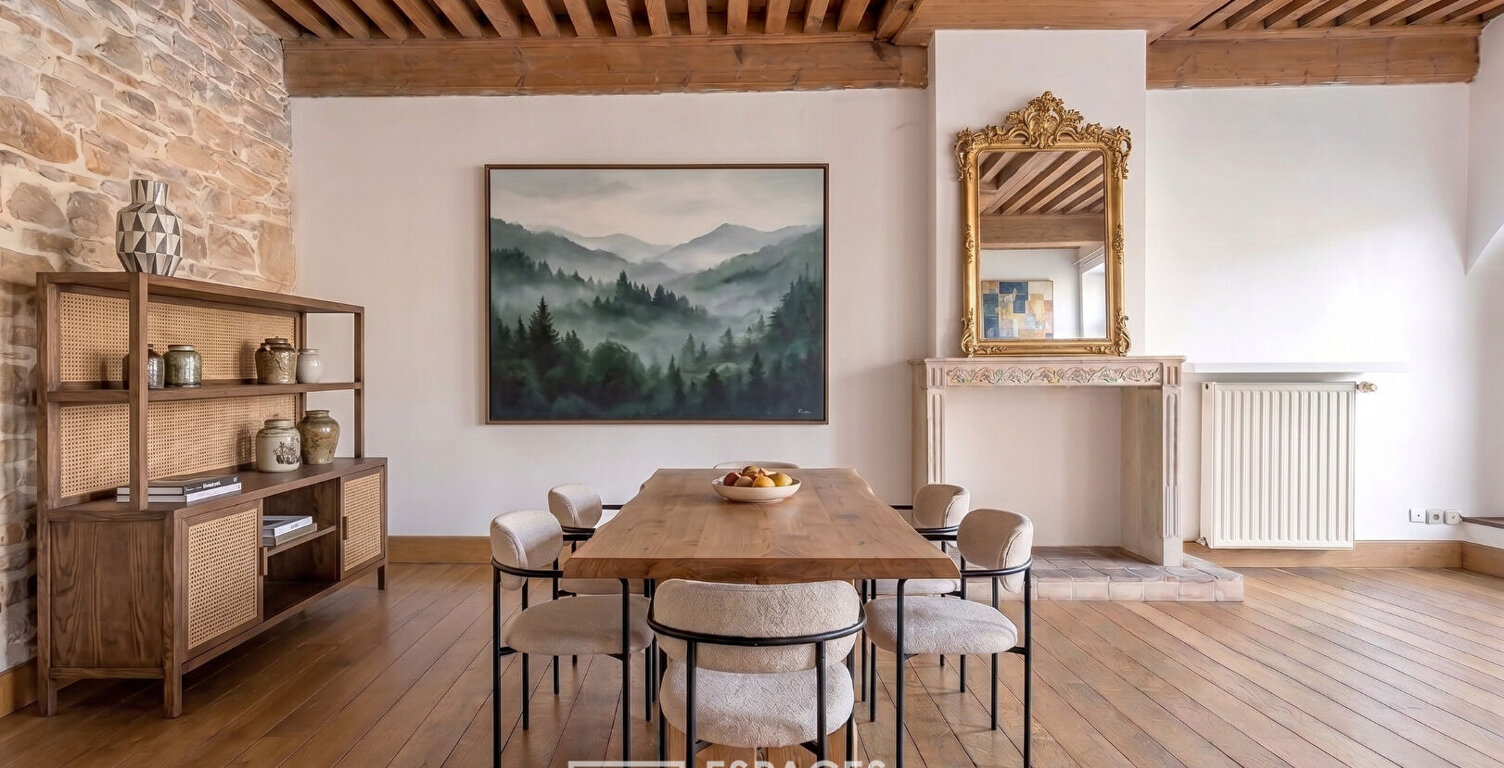 Appartement plein de cachet avec vue sur la Saône — photo 1