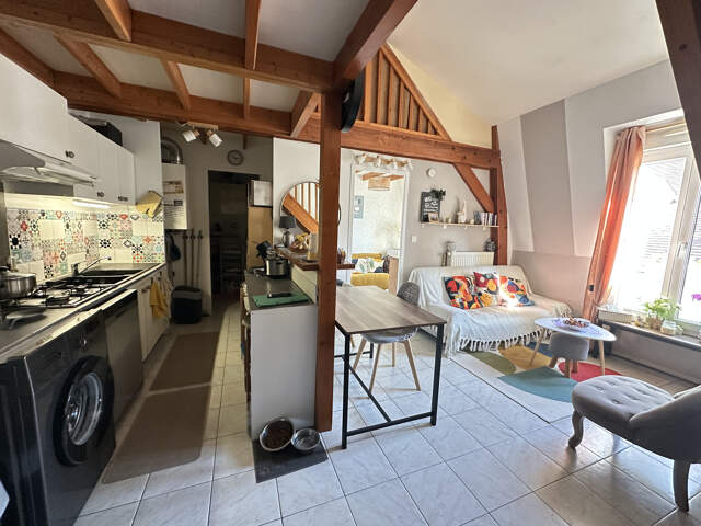 APPARTEMENT T2 + MEZZANINE — photo du bien