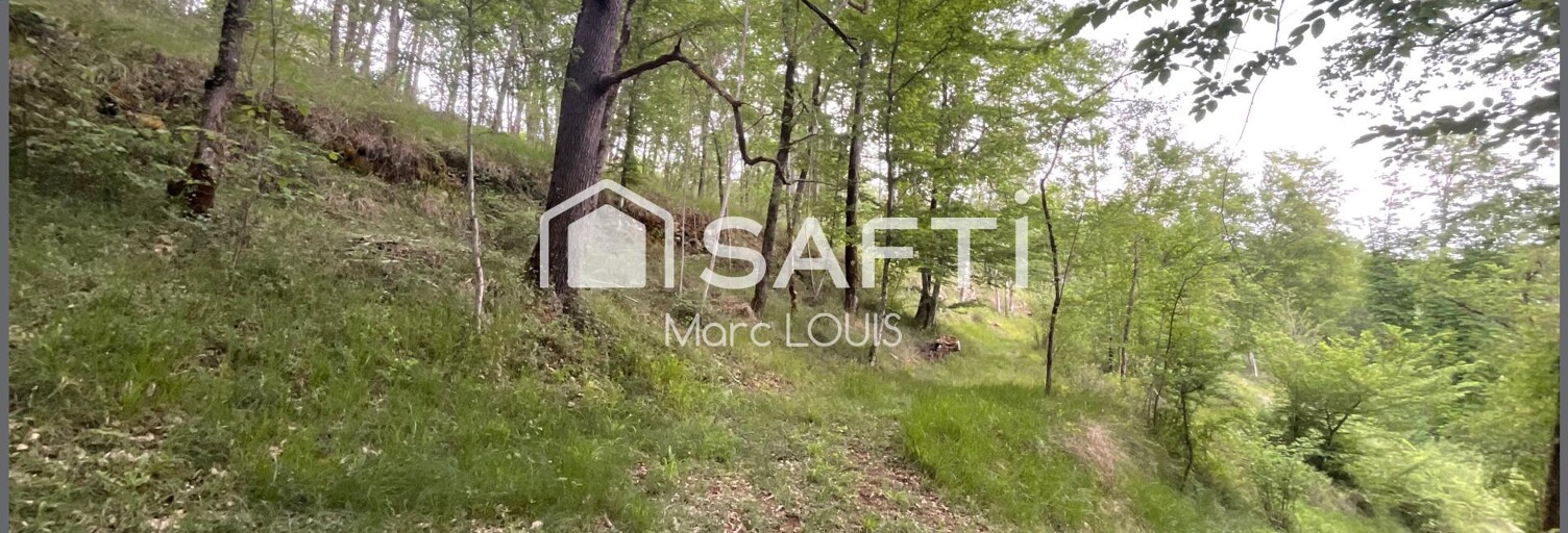 Terrain  17580 m² à vendre à Saint-Chamassy (24260)