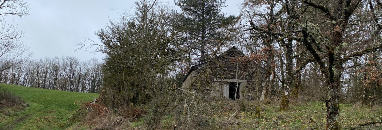Maison 1 Pièce 25 m² à vendre à Montagnol (12360)