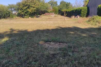 Terrain  55000 €
