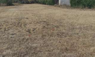 Terrain  939 m² à vendre à Cessoy-en-Montois (77520)