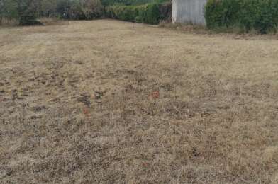 Terrain  55000 €