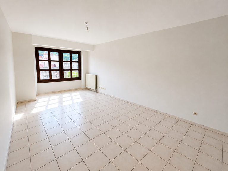 F3 AVEC GARAGE ET CAVE - PLACE DU BICENTENAIRE — photo 1