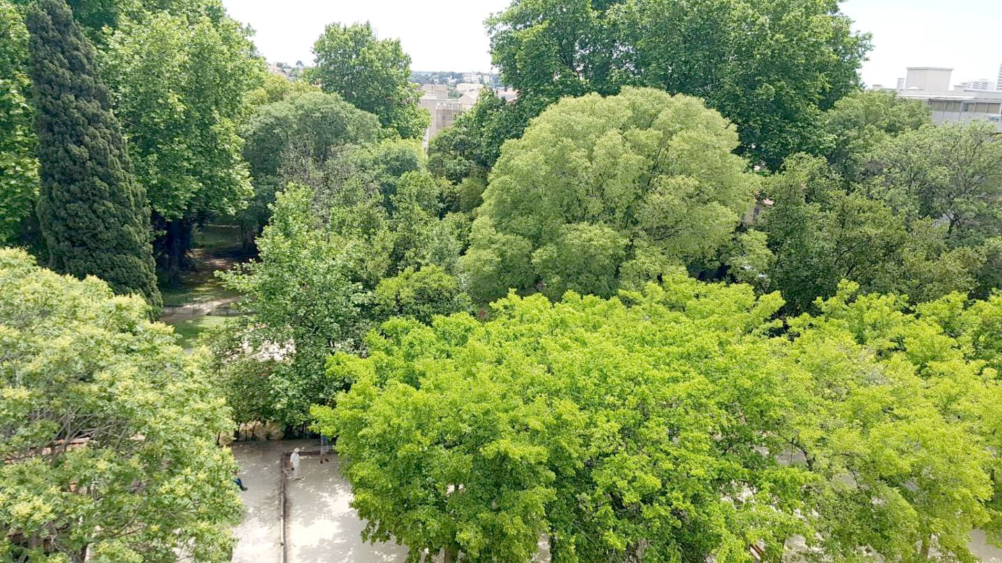 Appartement  T3 à vendre Toulon 83100