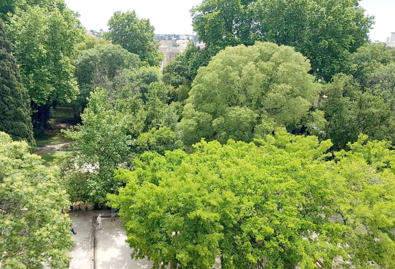 APPARTEMENT T3, CAVE, TOULON 83000 — photo 1