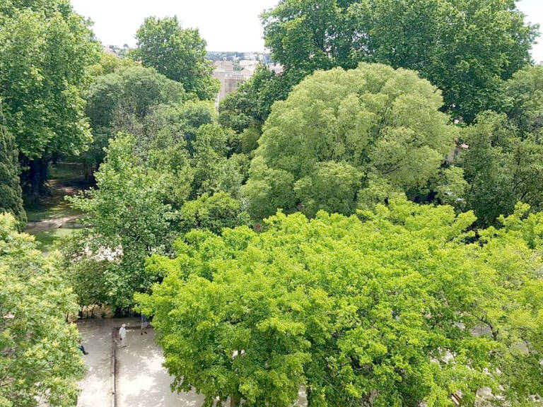 APPARTEMENT T3, CAVE, TOULON 83000 — photo 1