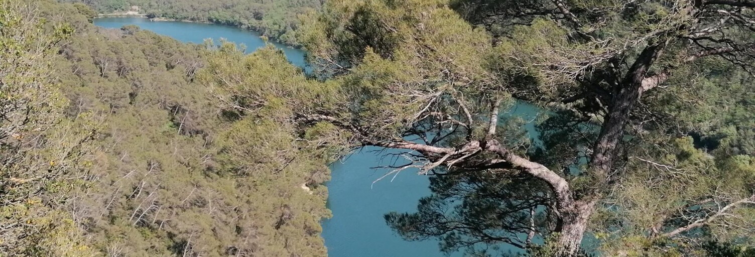 Photo N° 2