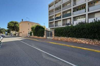 Appartement 3 pièces 927 €