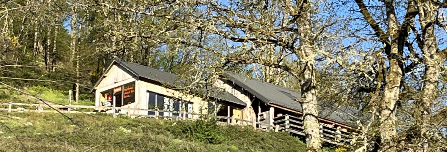 Photo N° 2