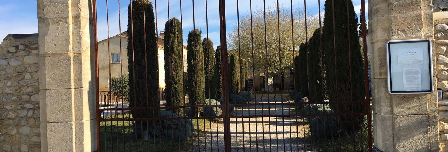 Photo N° 2