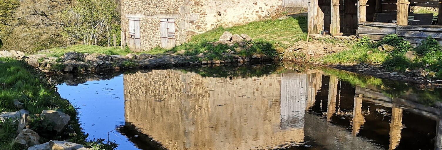 Photo N° 2