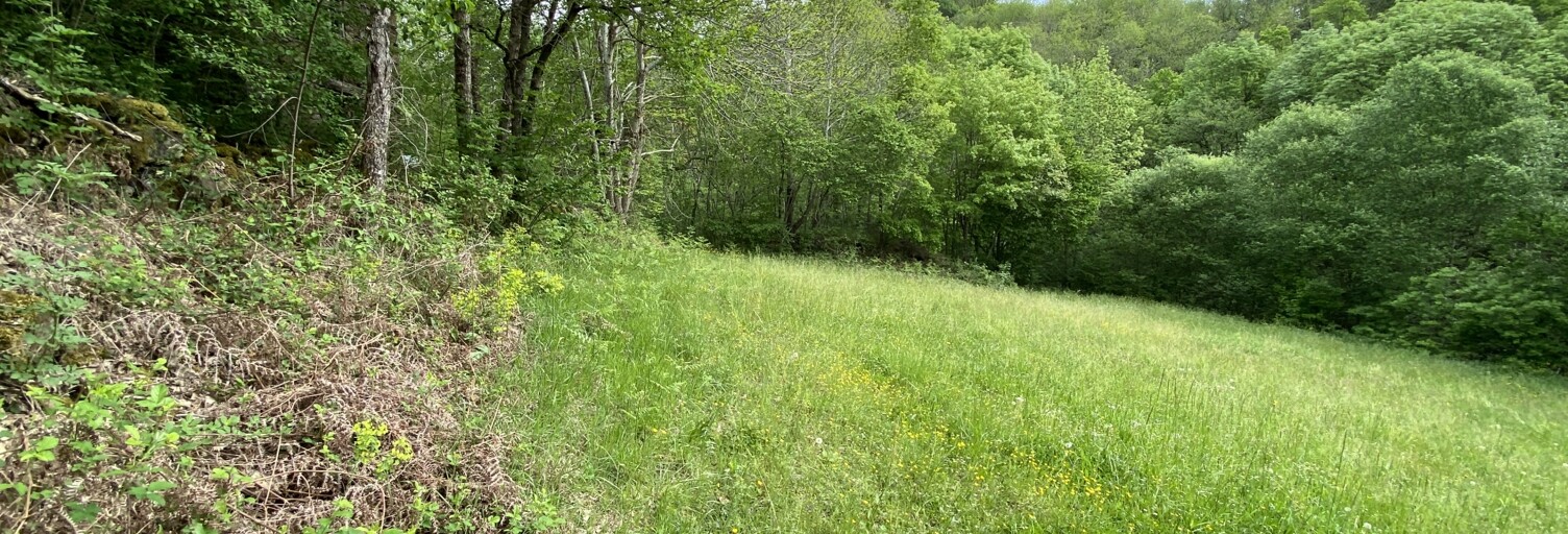 Terrain  8141 m² à vendre à Ayssènes (12430)