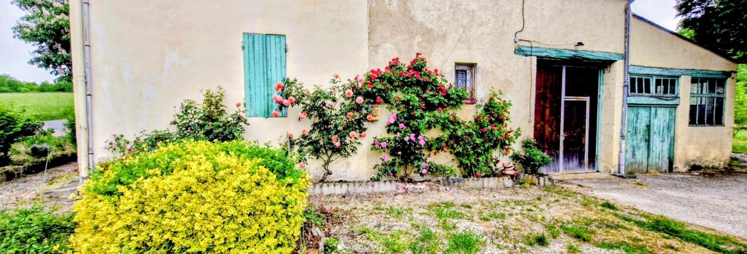 Photo N° 2