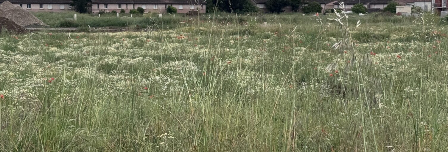 Terrain  500 m² à vendre à Frouzins (31270)