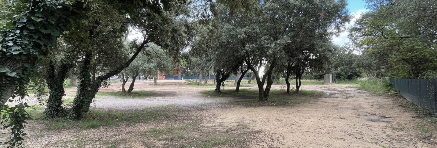 Photo N° 2