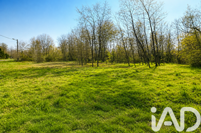 Terrain  80000 €