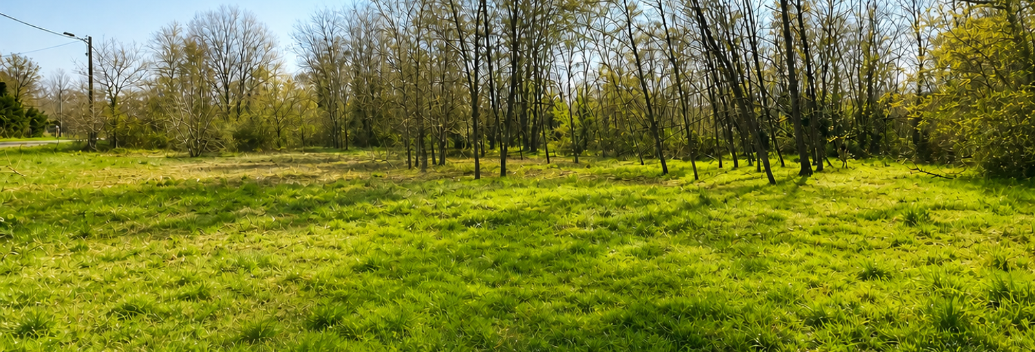 Terrain  1050 m² à vendre à Louchats (33125)