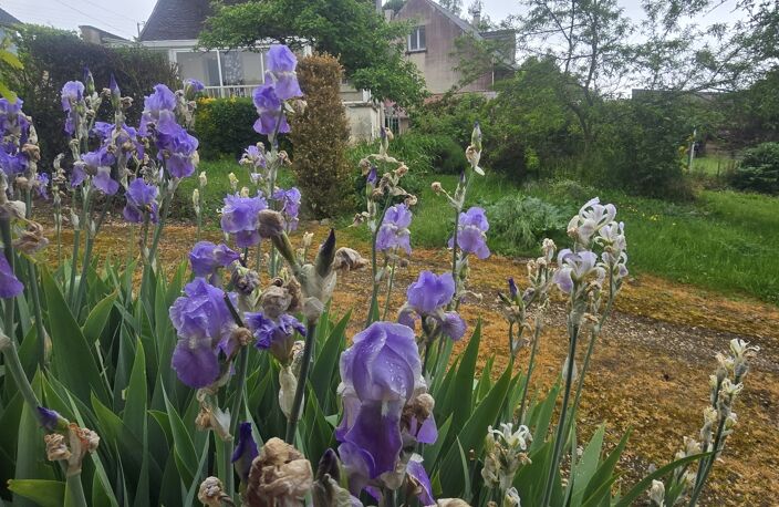Vente Maison/villa 8 pièces — photo 2