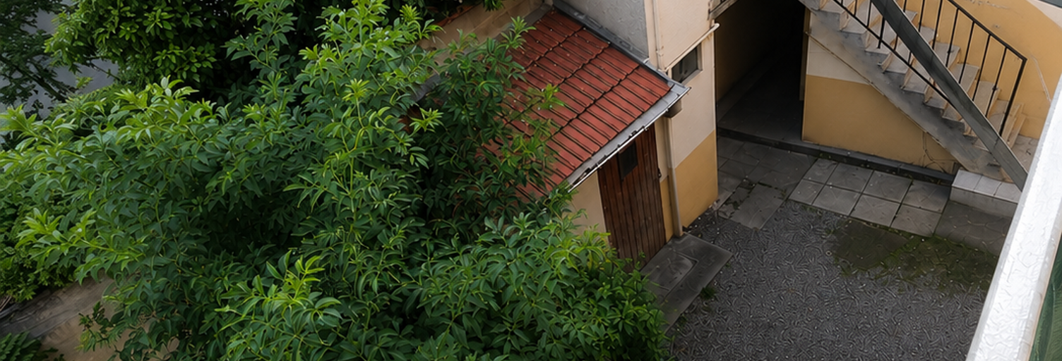 Photo N° 2